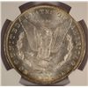 Image 3 : 1883 O MORGAN DOLLAR NGC MS 65+ BLAST WHITE