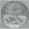 Image 2 : 2008 SILVER AMERICAN EAGLE IGS MS70