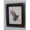 Image 1 : "Red Tailed Hawk" by Luke Raffin