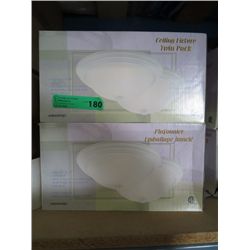 A case of ceiling fixtures