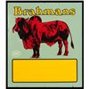 Image 1 : Red Brahmans Cattle Porcelain Ranch Sign