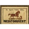 Image 2 : 1858 Ned Forrest Trotting Stallion Linen Broadside