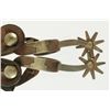 Image 2 : Steerhead Spurs