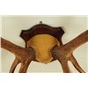 Image 2 : 6 x 6 Elk Horn Mount