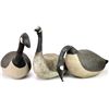 Image 1 : Collection of 3 canvas duck decoys.