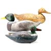 Image 1 : Collection of 3 wood duck decoys.