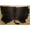 Image 2 : Buffalo skull and tanned cape.