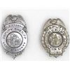Image 1 : Collection of 2 original Deputy Sheriff badges