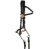 Image 1 : US Cavalry headstall with No 3 bit.