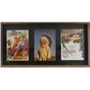 Image 1 : Framed and shadow boxed Captain Blood