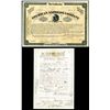 Image 1 : American Express Company, 1873 Type VI Stock Certificate With W. Fargo's Signature.