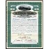 Image 1 : La Petrolera Poblana 1917 Specimen Share Certificate.