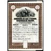 Image 1 : Compania de Luz y Fuerza Electrica de Toluca, 1922 Specimen Stock.