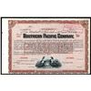 Image 1 : Southern Pacific Company, 1904 Specimen Stock Certificate.