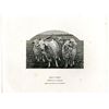 Image 1 : Bank of Turkey, Proof Vignette of Goat Family Used on back of 1942-47 ABN Issues.