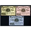 Image 1 : Cairo & St.Louis Railroad Co. Scrip Note Trio.