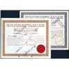 Image 1 : Israel: Lot of (9)  A.P.B. Investment Co. Ltd., 1950-51 , I/C Share Certificates, Varying number of 