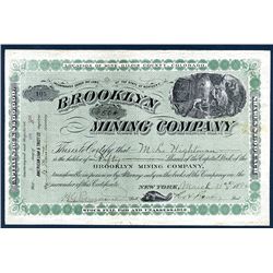 Brooklyn Mining Co. Issued Stock.