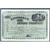 Image 1 : Brooklyn Mining Co. Issued Stock.