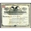 Image 1 : Doctor Martin Homaeopathic Family Medicine Co., 1899 Stock Certificate.