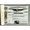Image 1 : Bald Eagle Valley 1879 Issued Stock Certificate.