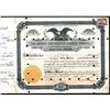 Image 1 : Midway & Oakdale Railway Co. 1901 Stock Certificate, Low S/N 3.