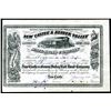 Image 1 : New Castle & Beaver Valley Railroad Co. 1882 Stock Certificate.