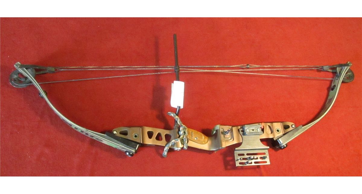 431. Hoyt Fast Flite 6070 Pound draw. 29" draw length with bow sights