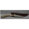 Image 1 : STEEL STAG HUNTING KNIFE 9.5" OVERALL