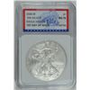 Image 1 : 2008-W SILVER AMERICAN EAGLE IGS MS70