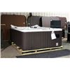 Image 1 : 130" X 92" CAL SPAS DIAMOND SERIES HOT TUB WITH STERLING SILVER INTERIOR AND PREF. SMOKE CABINET.