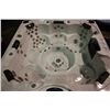 Image 2 : 92" X 92" CAL SPAS PLATINUM SERIES HOT TUB WITH STERLING SILVER INTERIOR AND GREY MIST CABINET.