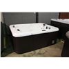 Image 1 : 82" X 62" CAL SPAS ONLINE SERIES HOT TUB WITH SNOW WHITE INTERIOR AND PREFERRED SMOKE CABINET.