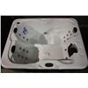 Image 2 : 82" X 62" CAL SPAS ONLINE SERIES HOT TUB WITH SNOW WHITE INTERIOR AND PREFERRED SMOKE CABINET.