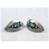 Image 1 : Vintage Navajo Sterling Turquoise Screwback Earrings