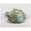 Image 2 : Prehistoric Turquoise Turtle Fetish