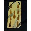 Image 1 : "The Flintstones: Viva Rock Vegas" Prop Playing Card
