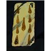 Image 1 : "The Flintstones: Viva Rock Vegas" Prop Playing Card