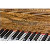 Image 4 : Chickering Ampico Grand Player Piano