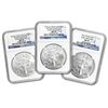 Image 1 : 2013 1 oz Silver American Eagle MS-69 PCGS (FS) 3 Coin Set