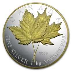 2013 1/2 oz Silver Canadian $10 Maple Leaf Forever (W/Box & COA)