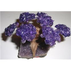 BEAUTIFUL BRAZILIAN AMETHYST TREE ON AN AMETHYST BED AS THE BASE *ALL NATURAL AMETHYST*