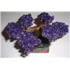 Image 1 : BEAUTIFUL BRAZILIAN AMETHYST TREE ON AN AMETHYST BED AS THE BASE *ALL NATURAL AMETHYST*!!