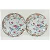 Image 1 : A PAIR OF 18TH CENTURY CANTONESE PLATES: decorated exotic pink and  white flowering shrubs, each