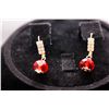 Image 1 : 14K GOLD PLATED CZ RED EARRINGS