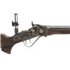 Image 1 : Limited Edition Model 1874 Creedmoor Sharps Rifle  in .45/70 Cal by Chiappa Firearms