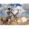 Image 3 : 2-Day Pronghorn Hunt for One Hunter and One Non-Hunter in Utah - Includes Trophy Fee