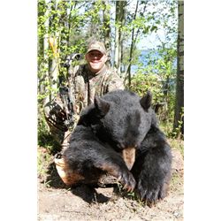 5-Day Black Bear Hunt for One Hunter in Alberta, Canada - Includes Trophy Fee