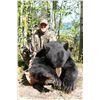 Image 1 : 5-Day Black Bear Hunt for One Hunter in Alberta, Canada - Includes Trophy Fee