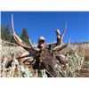 Image 1 : 5-Day Elk Hunt for One Hunter in Western Wyoming - Includes Trophy Fee